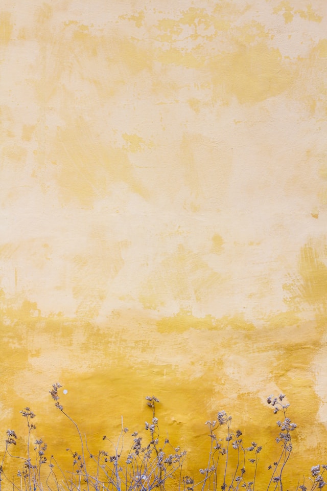 MonnardsSA Fresque